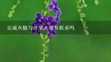宣威火腿与金华火腿有联系吗