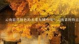 云南最具特色的名菜有哪些呢？云南菜的特点是什么？春节来云南旅行，一定要吃的美食