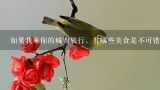 如果我来你的城市旅行，有哪些美食是不可错过的？