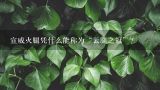宣威火腿凭什么能称为“云腿之冠”？云南最具代表的食物是什么？