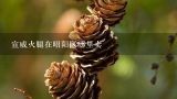 宣威火腿在昭阳区哪里卖,宣威哪个地方的火腿是最正宗的？