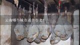 云南哪个城市适合养老？宣威哪个地方的火腿最正宗？