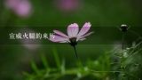 宣威火腿的来历,云南火腿在国内外享有盛誉，云南火腿腌制技术是怎样