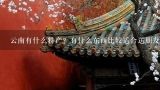 云南有什么特产？有什么东西比较适合送朋友？云腿月饼和火腿月饼谁贵些