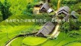 海南野生白胡椒哪有的买、大概多少钱一斤?海南胡椒批发价格多少钱一斤？