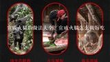 宣威火腿的做法大全，宣威火腿怎么做好吃,火腿的吃法