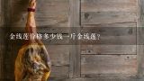 金线莲价格多少钱一斤金线莲？