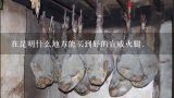 在昆明什么地方能买到好的宣威火腿.,正宗云南宣威火腿在哪里买得到？