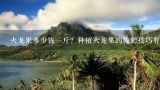 火龙果多少钱一斤？种植火龙果的施肥技巧有哪些？一斤火龙果大概有几个？