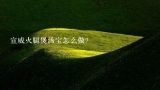 宣威火腿煲汤宝怎么做？宣威火腿怎么做好吃