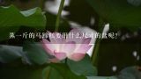 蒸一斤的马蹄糕要用什么尺寸的盆呢?千层椰汁马蹄糕做法一斤装？