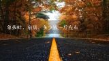 象拔蚌，扇贝，多少钱一斤左右,今年那里扇贝大 给加工割扇贝丁多少钱一斤