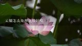 云腿怎么处理比较好吃,宣威火腿吃前怎么处理