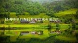 昆明哪里有专门批发宣威火腿的？彪哥火腿哪里买