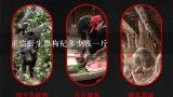 正宗野生黑枸杞多少钱一斤,正宗的黑枸杞多少钱一斤？