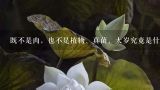 既不是肉，也不是植物、真菌，太岁究竟是什么？太岁是怎么形成的，石太岁的特征