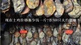 现在土鸡价格多少钱一斤?养500只大约能赚多少钱？散养鸡和笼养鸡有什么区别？正宗土鸡多少钱一斤？