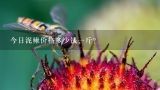 今日泥鳅价格多少钱一斤？泥鳅价格多少钱一斤