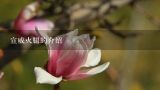 宣威火腿的介绍,宣威火腿制作技艺的介绍