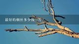 最好的烟丝多少钱一斤？烟丝多少钱一斤？