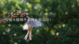 宣威火腿哪个品牌比较正宗？宣威火腿怎么做好吃味道好？