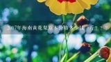 2017年海南黄花梨原木价格多少钱一斤？？？大叶黄花梨多少钱一斤
