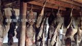 猪肥肠一斤多少钱？卤熟肥肠多少钱一斤？