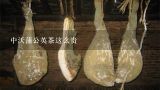中沃蒲公英茶这么贵,蒲公英根可以长期喝吗，蒲公英根多少钱一斤