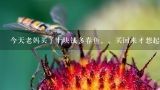 今天老妈买了十块钱多春鱼。。买回来才想起日本辐射,什么季节买多春鱼价格便宜