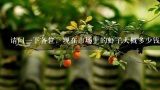 请问一下各位，现在市场上的虾子大概多少钱一斤？
