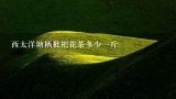 西太洋塘栖枇杷花茶多少一斤