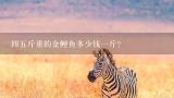 四五斤重的金鲤鱼多少钱一斤？野生鲤多少钱一斤？