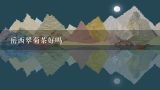 岳西翠菊茶好吗,我想知道岳西翠兰今年的市场价格？