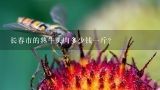 长春市的熟牛头肉多少钱一斤？牛头肉多少钱一斤