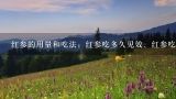 红参的用量和吃法：红参吃多久见效、红参吃了有什么,买红参怎么在网上购？
