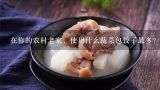 在你的农村老家，使用什么蔬菜包饺子最多？有什么特,花菜有几个品种