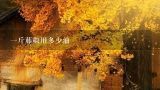 一斤藤椒用多少油,散装藤椒油多少钱一斤,怎样辨别好坏