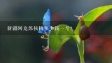 新疆阿克苏核桃多少钱一斤？新疆薄皮185核桃，什么价钱？