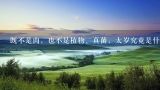 既不是肉，也不是植物、真菌，太岁究竟是什么？太岁多少钱一斤