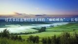 过去农村池塘经常见到的“癞蛤蟆鱼”，长得四不像，,我是四川的，这是我们河里的一种鱼，这是什么鱼？岷