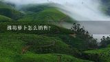 潍坊萝卜怎么销售？潍坊萝卜现在市场价格是多少钱一斤？