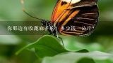 你那边有收蓖麻子的？多少钱一公斤？洋麻仔多少钱一斤在那儿能买到？