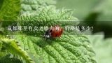 成都那里有卖老腊肉的？价格是多少？中通快递十五斤腊肉要多少钱（成都）？