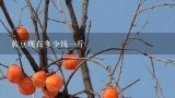 黄豆现在多少钱一斤,吉林省黄豆现在多少钱一斤？