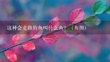 这种会走路的鱼叫什么鱼？（有图）,攀鲈鱼多少钱一斤