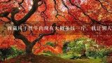 西藏风干牦牛肉现在大概多钱一斤，我让别人稍，怕被黑了,西藏牦牛肉干多少钱一斤？