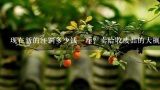 现在新的红铜多少钱一斤？卖给收废品的大概什么价格？现在废紫铜多少钱一斤？我有20斤废黄铜多少钱一斤？