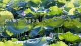椴木紫芝一斤多少钱,种植灵芝紫芝和赤芝多少钱一斤现在？
