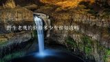 野生老鹰的价格多少有谁知道吗,普通小老鹰一只多少钱