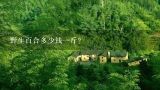 野生百合多少钱一斤？现在百合价格多少钱一斤？价格会很贵吗？